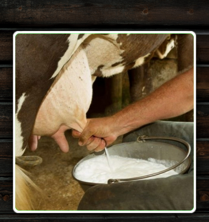 MilkMax стимулятор дойки